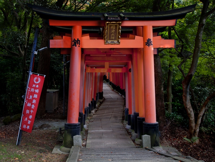 Fushimi-Inari Shrine Orange Torii 11-1833.jpg